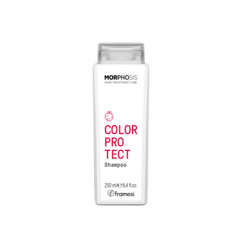 MORPHOSIS COLOR PROTECT SHAMPOO A03501 фото